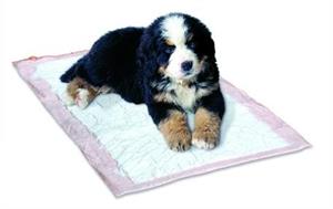 Traversine per cani Lux 60x90 cm (box 25 pz.)